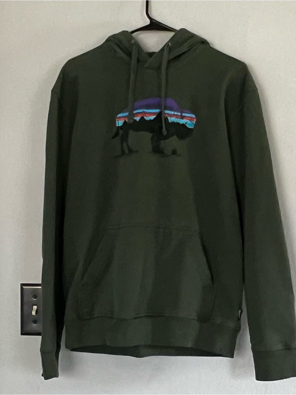 Patagonia Men’s Roy Fritz Buffalo Hoodie